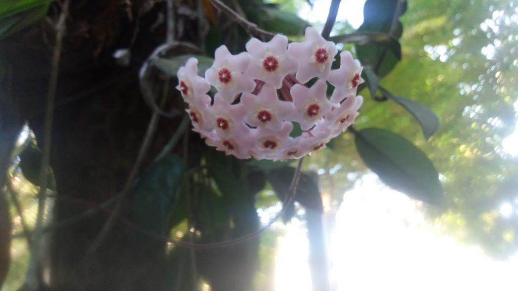 Villa Ali อูนาวาตูนา ภายนอก รูปภาพ