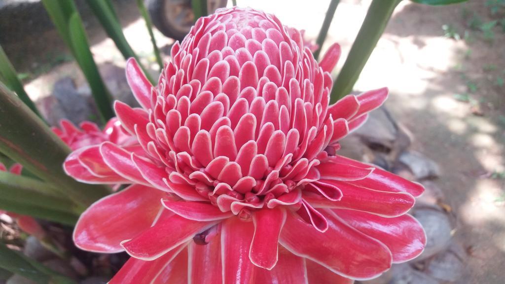 Villa Ali อูนาวาตูนา ภายนอก รูปภาพ